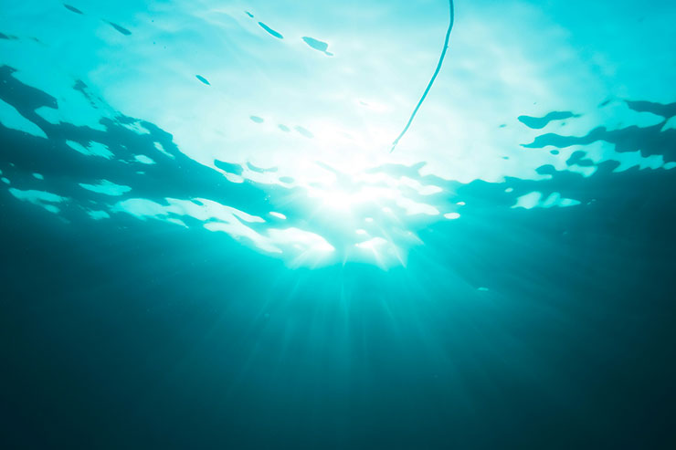 Read more about the article The Cost of Your Influence